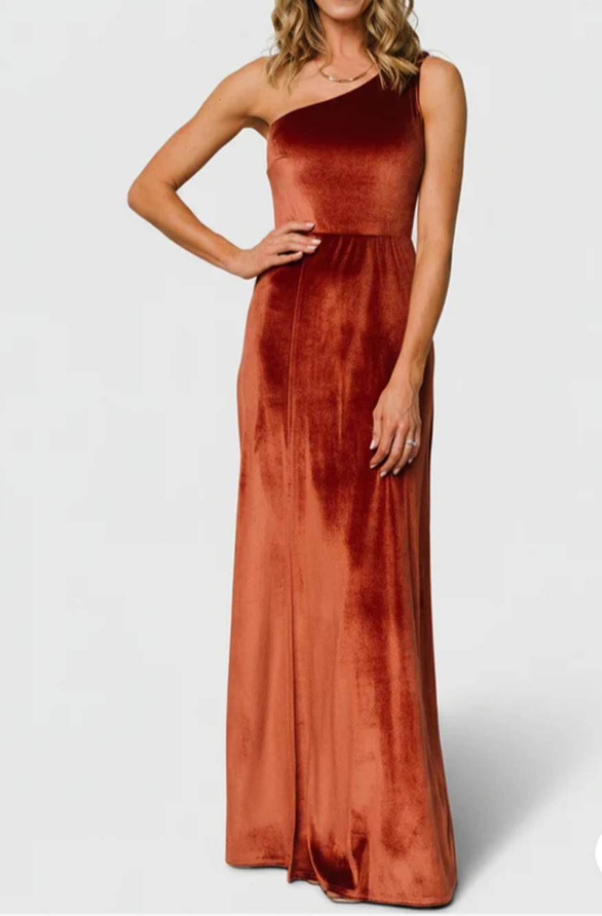 New Baltic Born Tatiana Velvet One Shoulder Maxi Dress L Cinnamon NWT